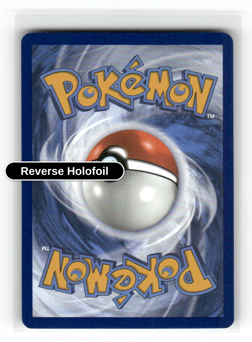 Team Rocket's Nidoran M (Back)