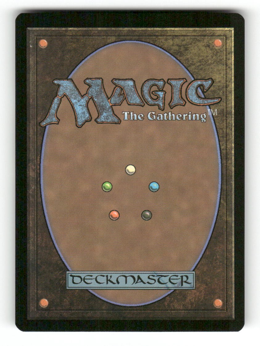 Shattered Sanctum (Borderless) (Back)