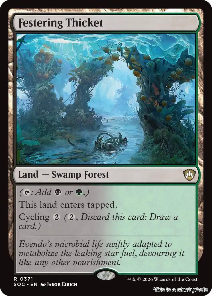 Festering Thicket