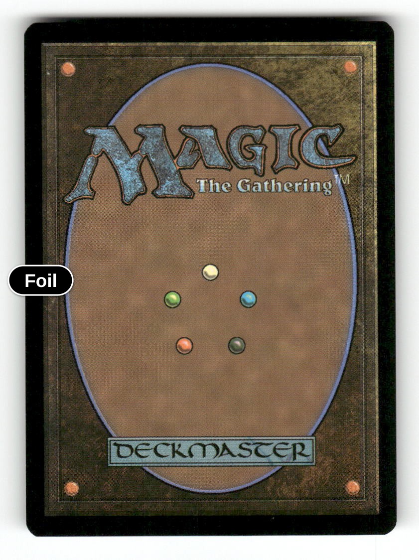 Jadzi, Steward of Fate (Extended Art) (Back)