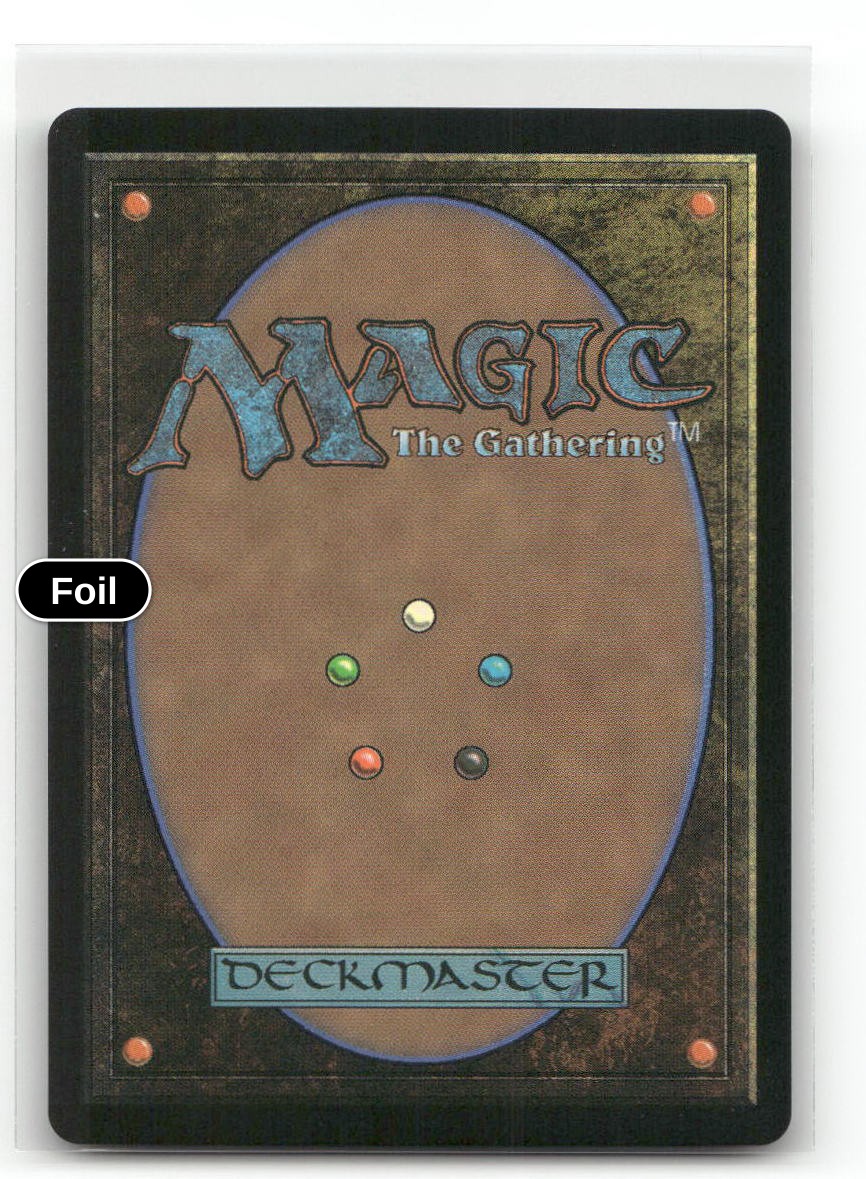 Shamanic Revelation (JP Alternate Art) (Silver Scroll Foil) (Back)