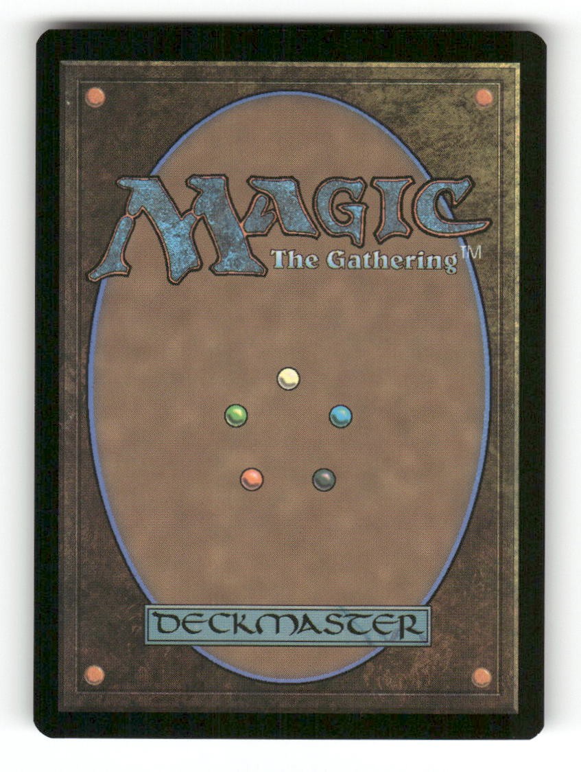 Shared Roots (Back)
