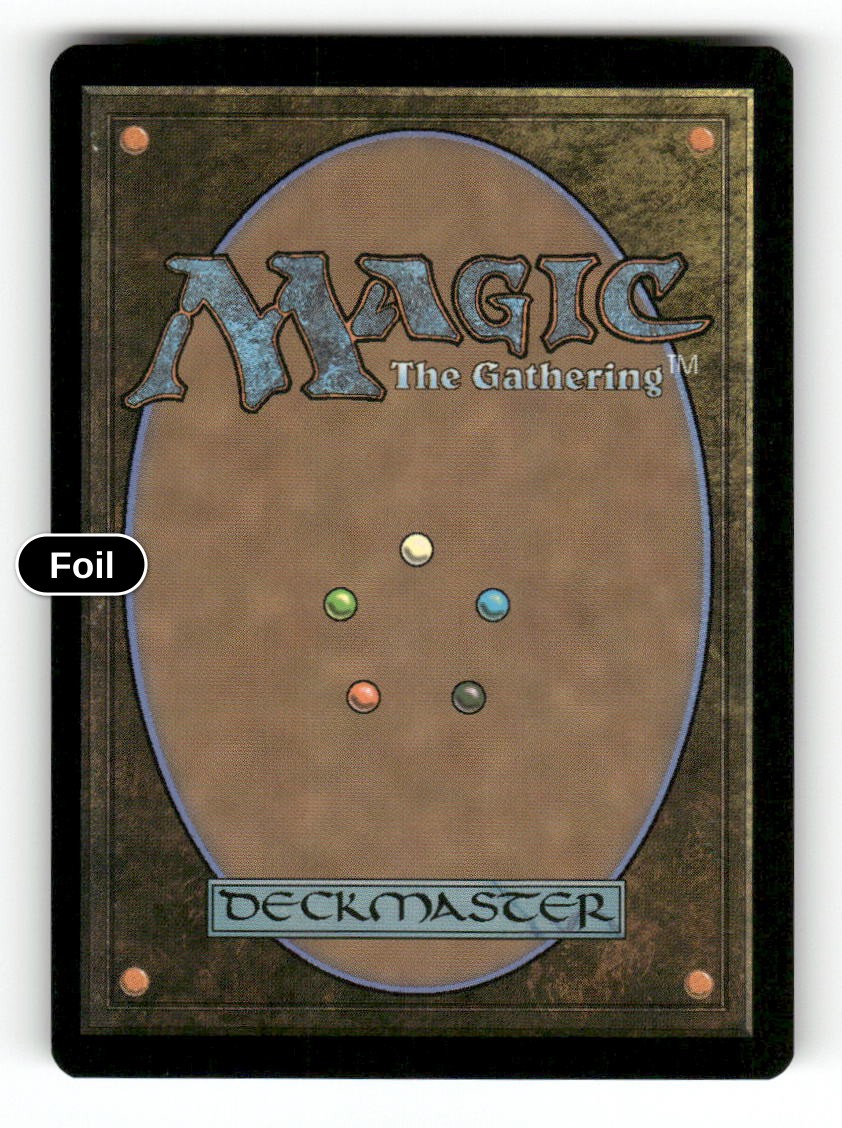 Petrified Hamlet (Extended Art) (Back)