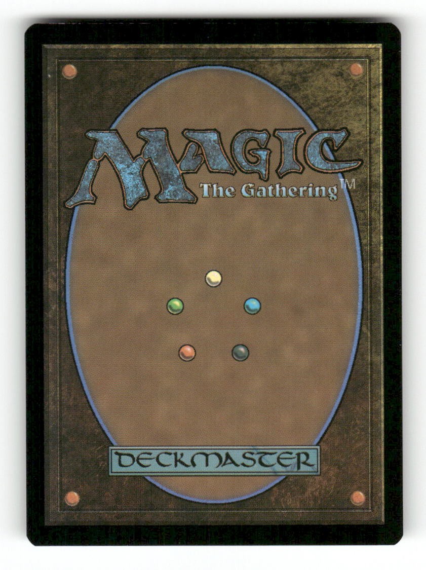 Essenceknit Scholar (Back)