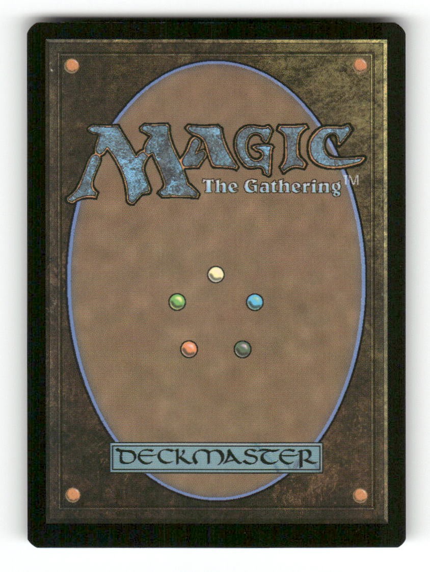 Pursue the Past (Back)