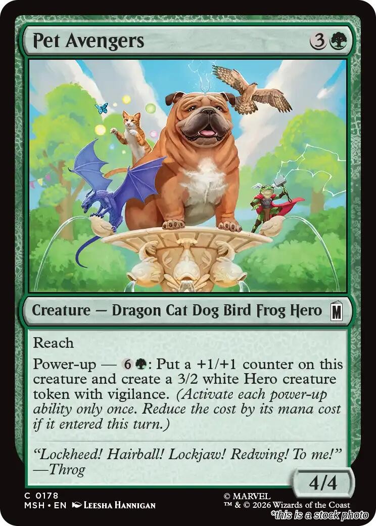 Pet Avengers