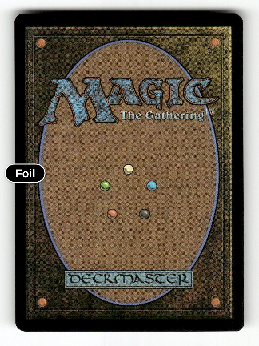 Thorin Oakenshield (Borderless) (Back)