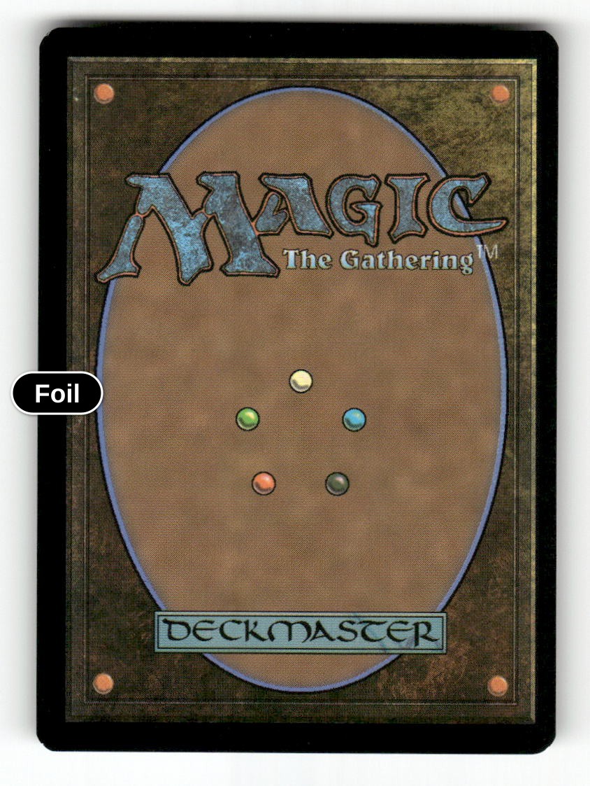Magnificent End (Back)