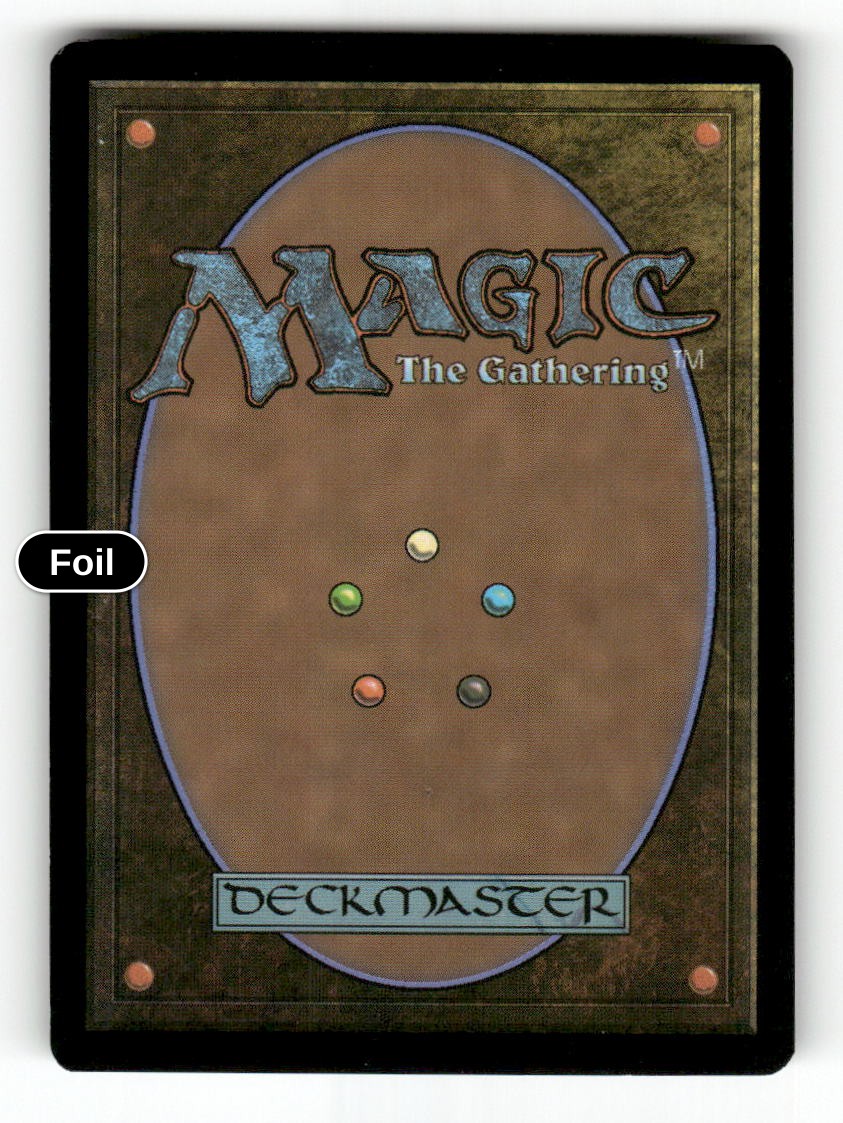 Bolg's Company (Back)