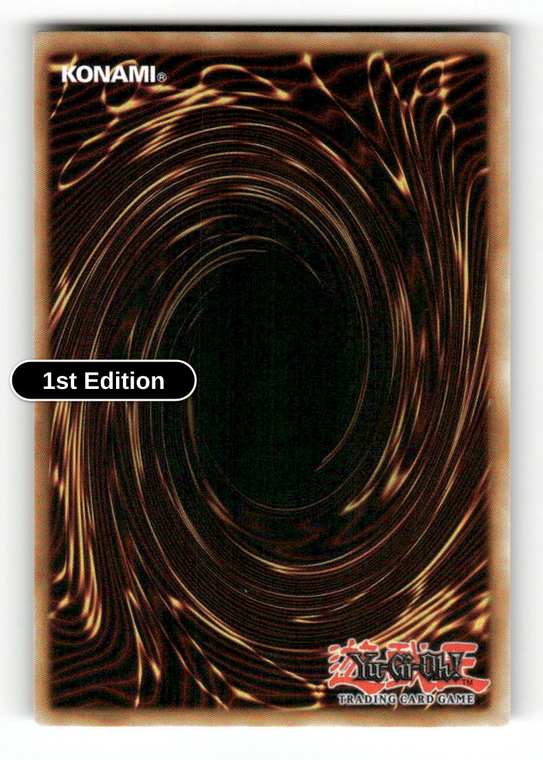 Lightstorm Dragon (Back)