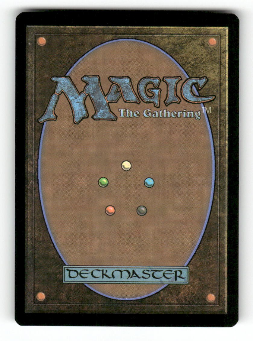 Shipwreck Marsh (Borderless) (Back)