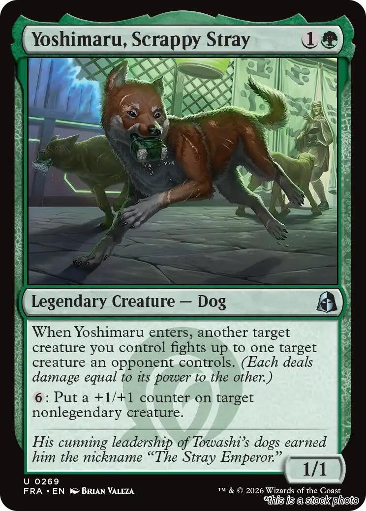 Yoshimaru, Scrappy Stray