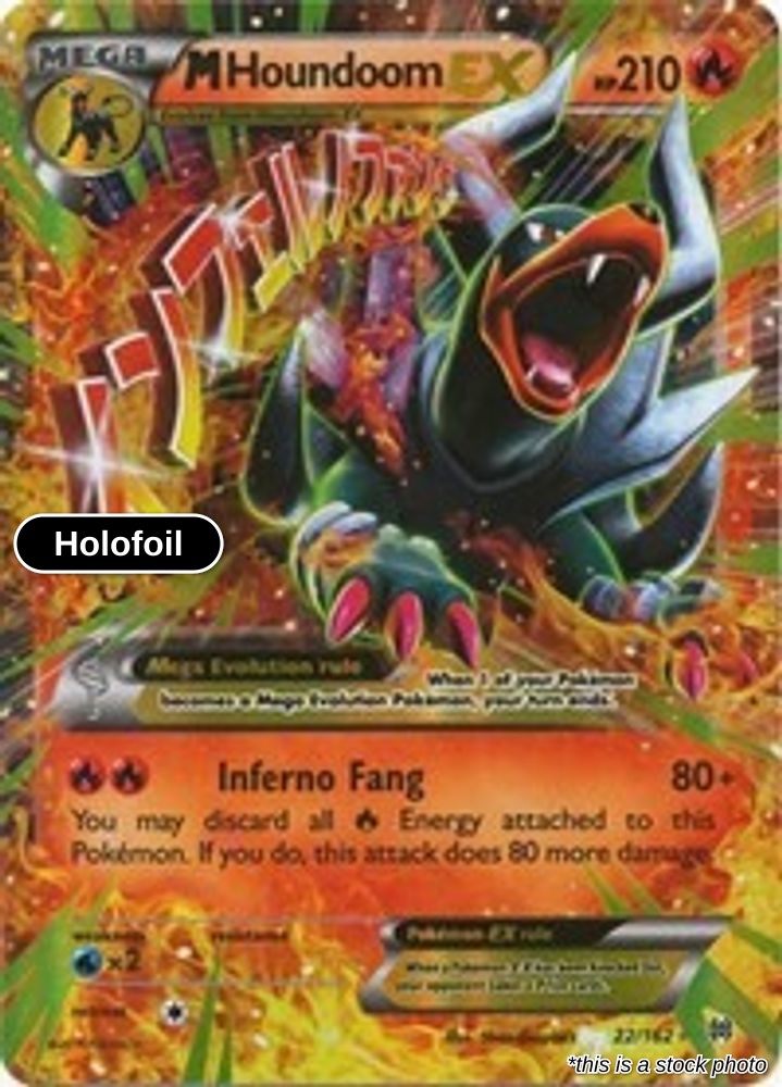 M Houndoom EX
