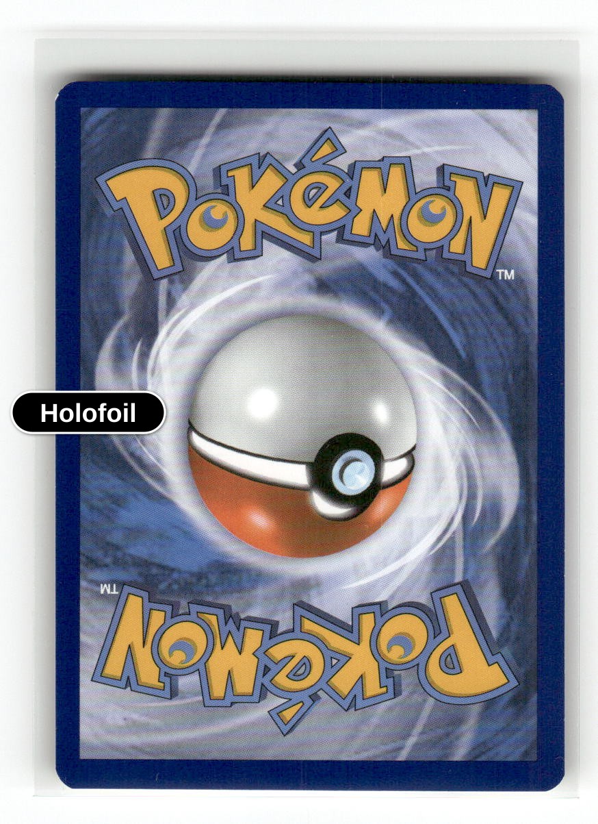 Zoroark BREAK (Back)