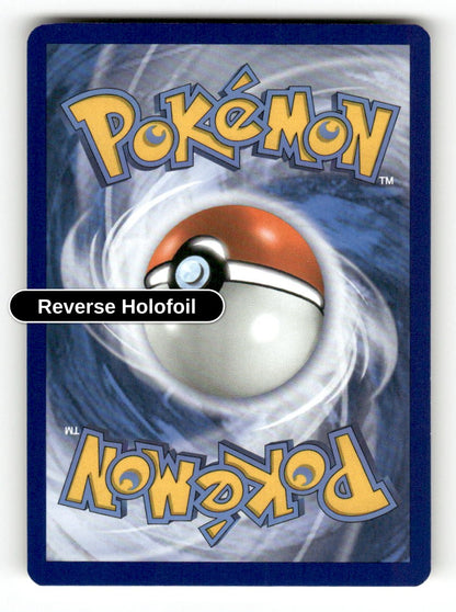 Metapod (Back)