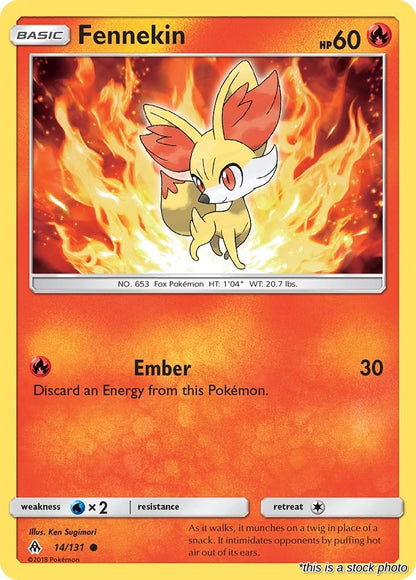 Fennekin (14)