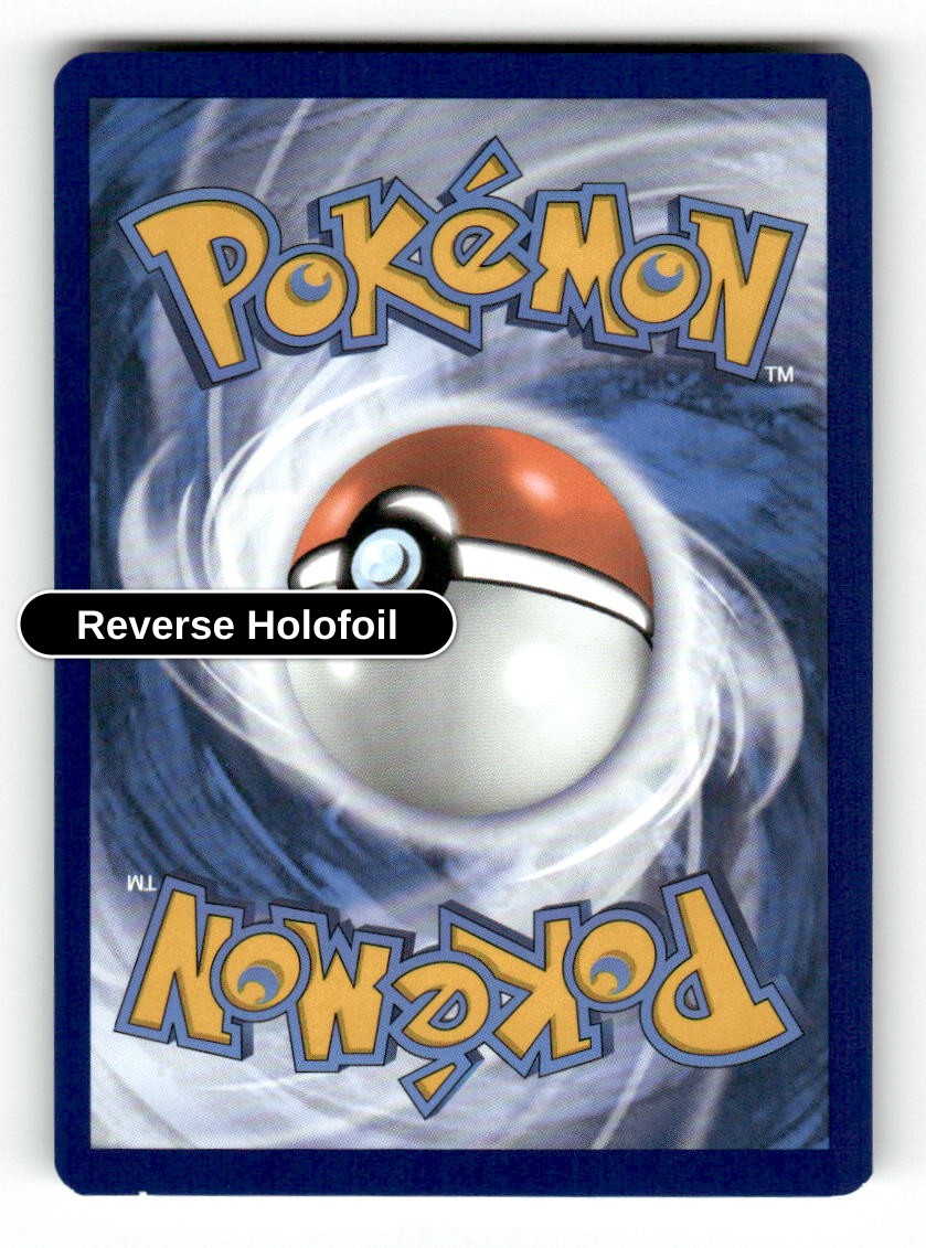 Switch (Back)