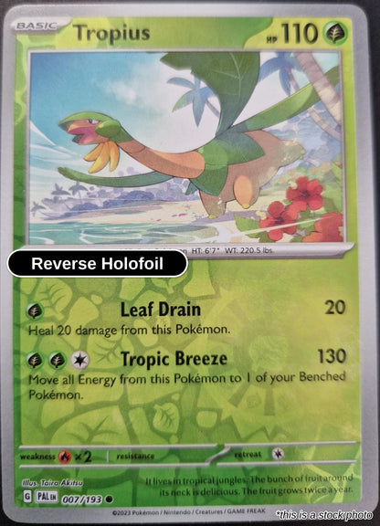 Tropius - 007/193