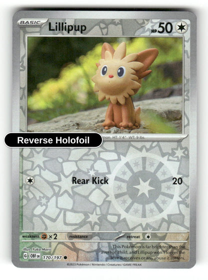 Lillipup