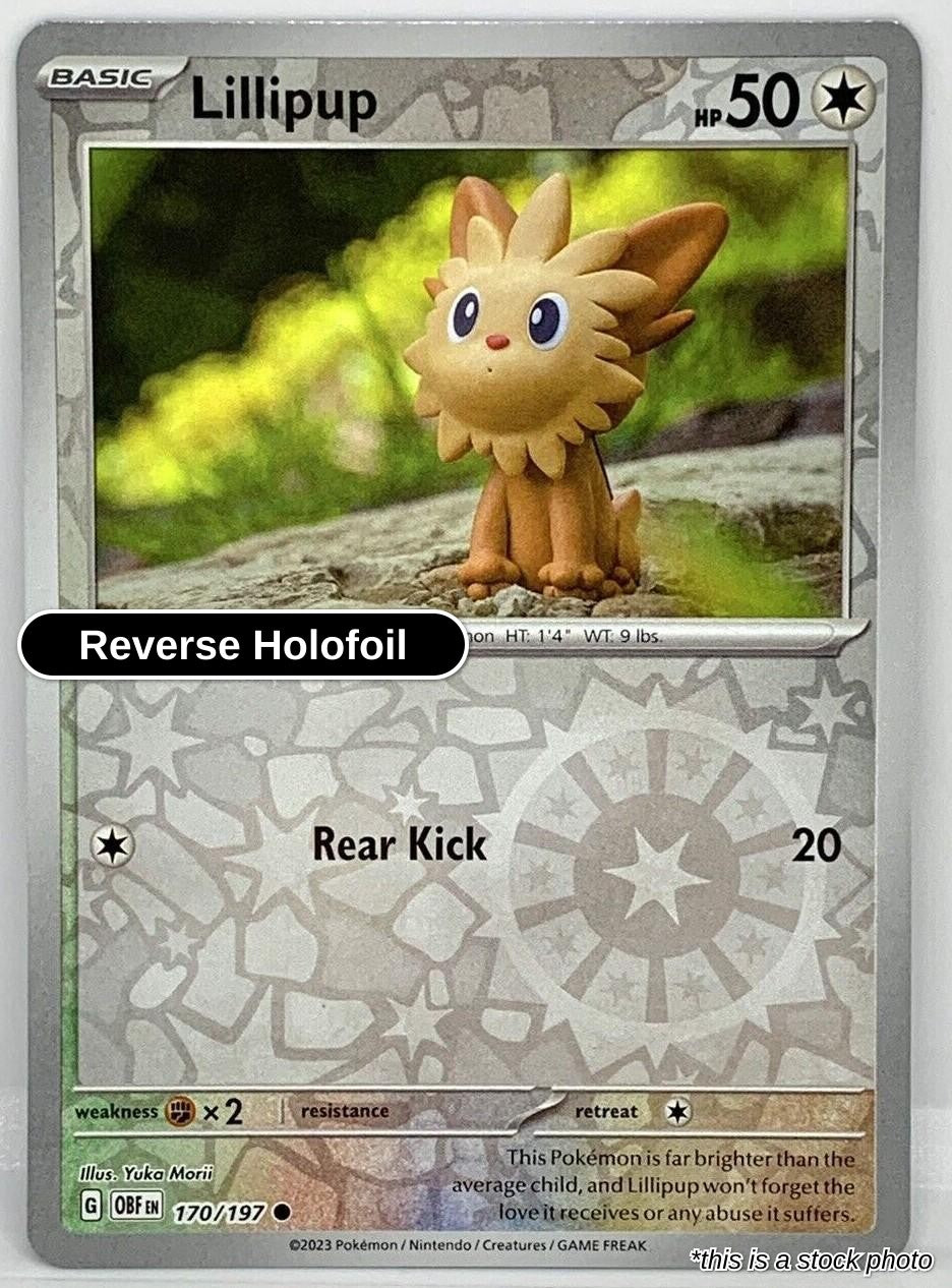 Lillipup