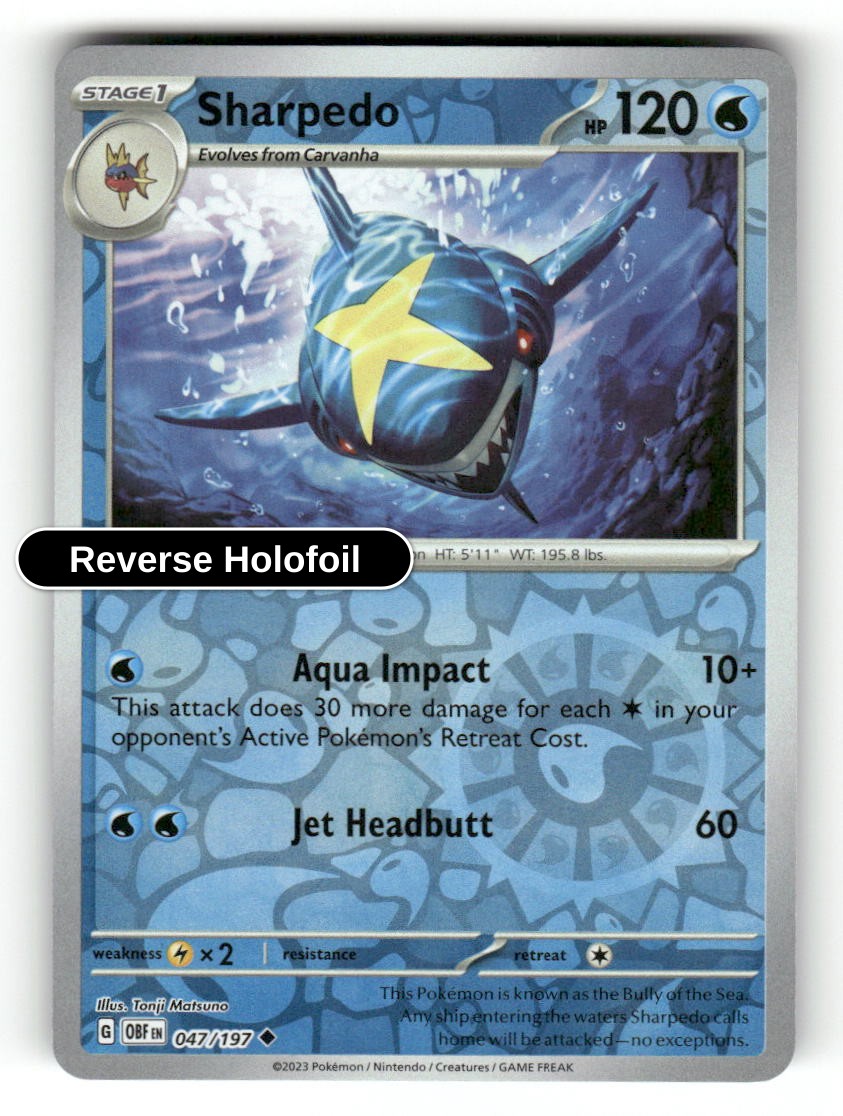 Sharpedo
