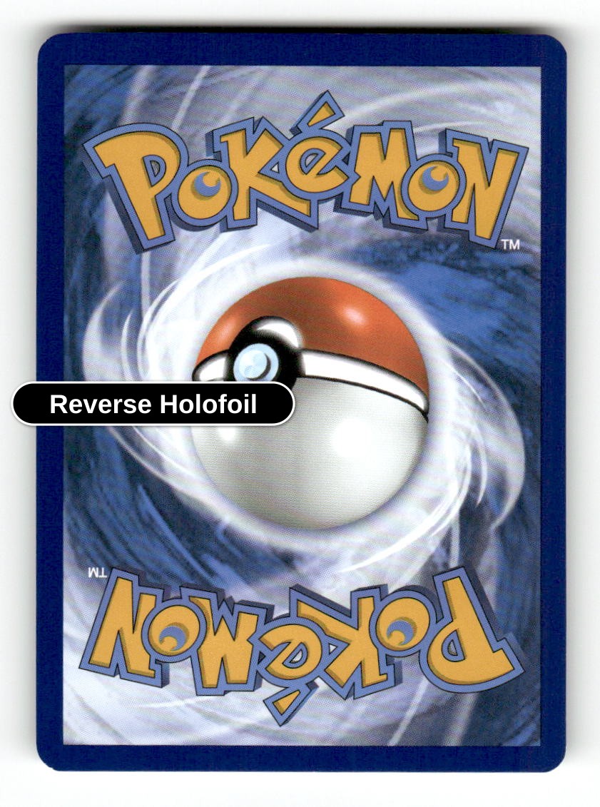 Sharpedo (Back)