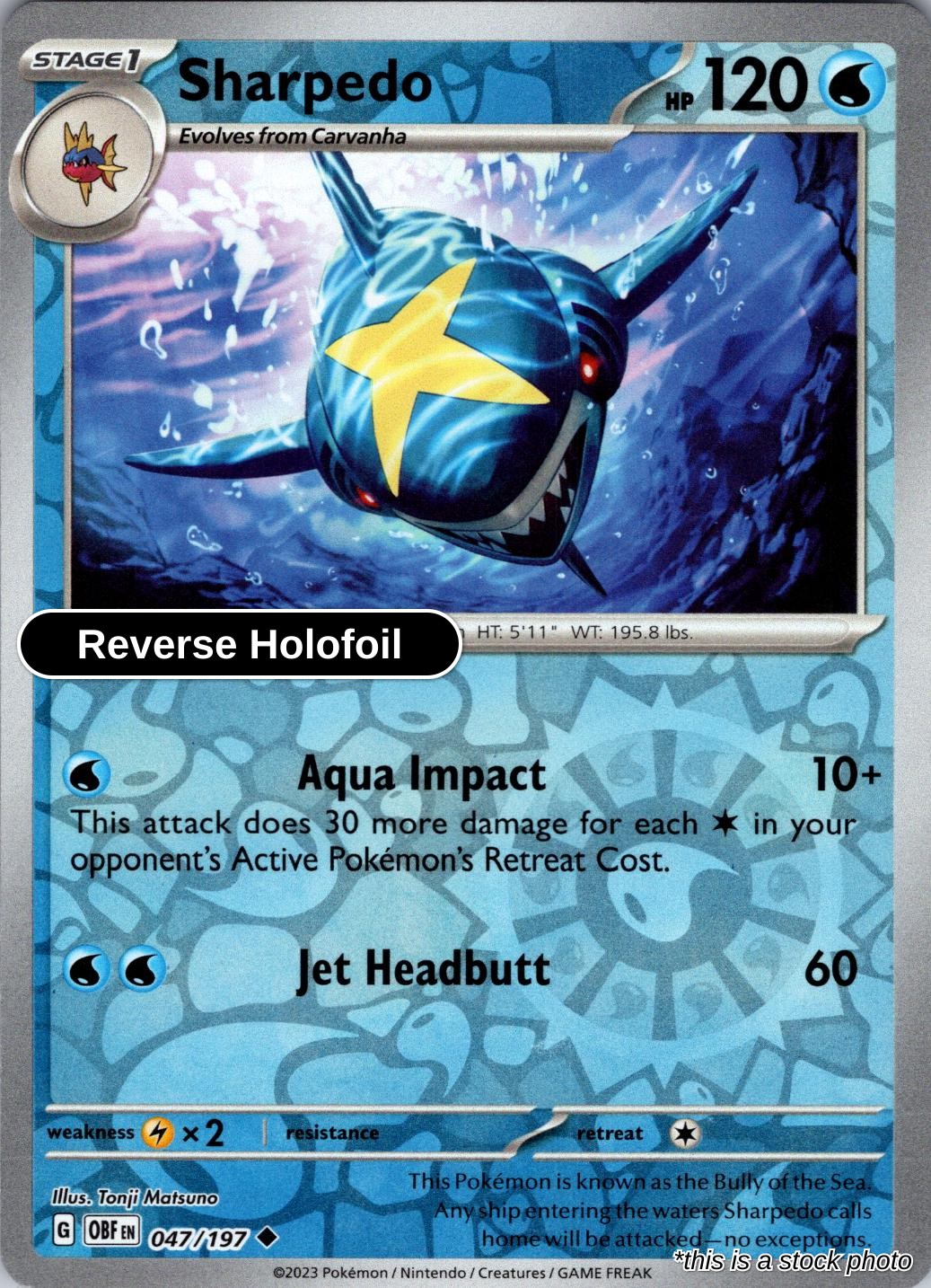 Sharpedo