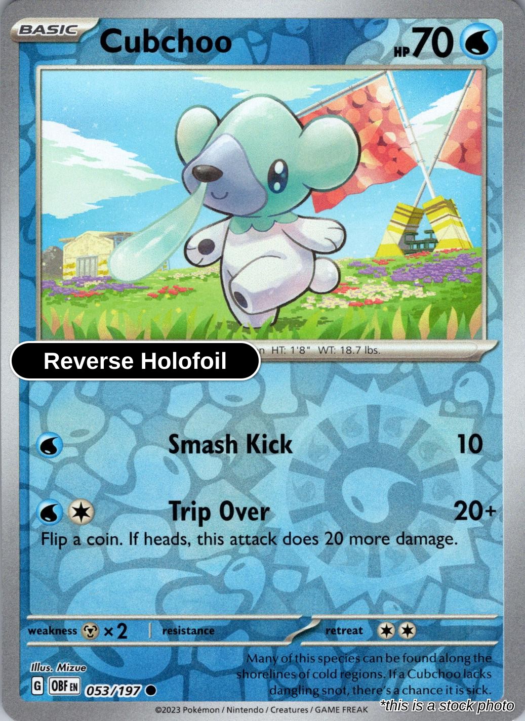 Cubchoo