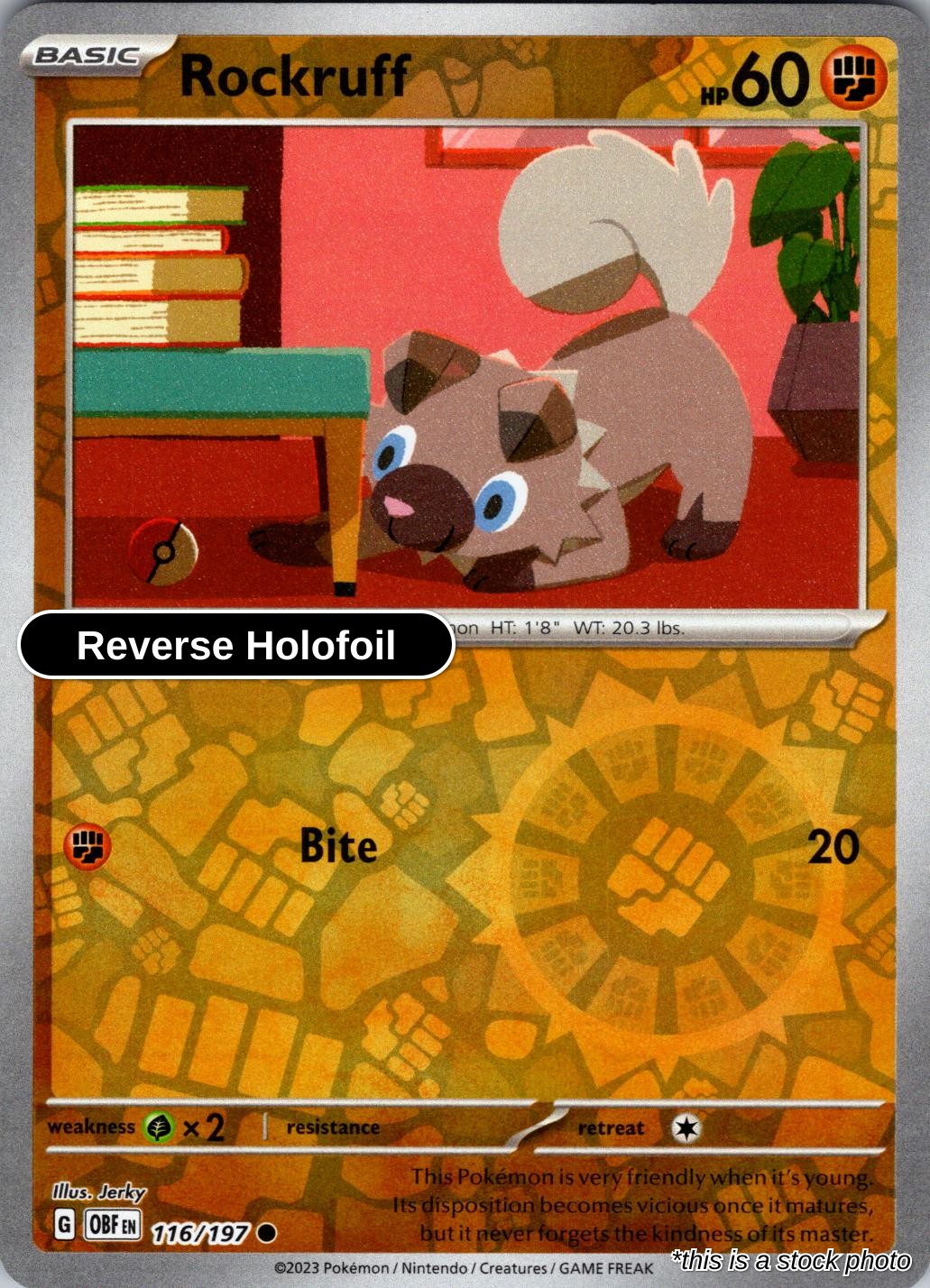 Rockruff