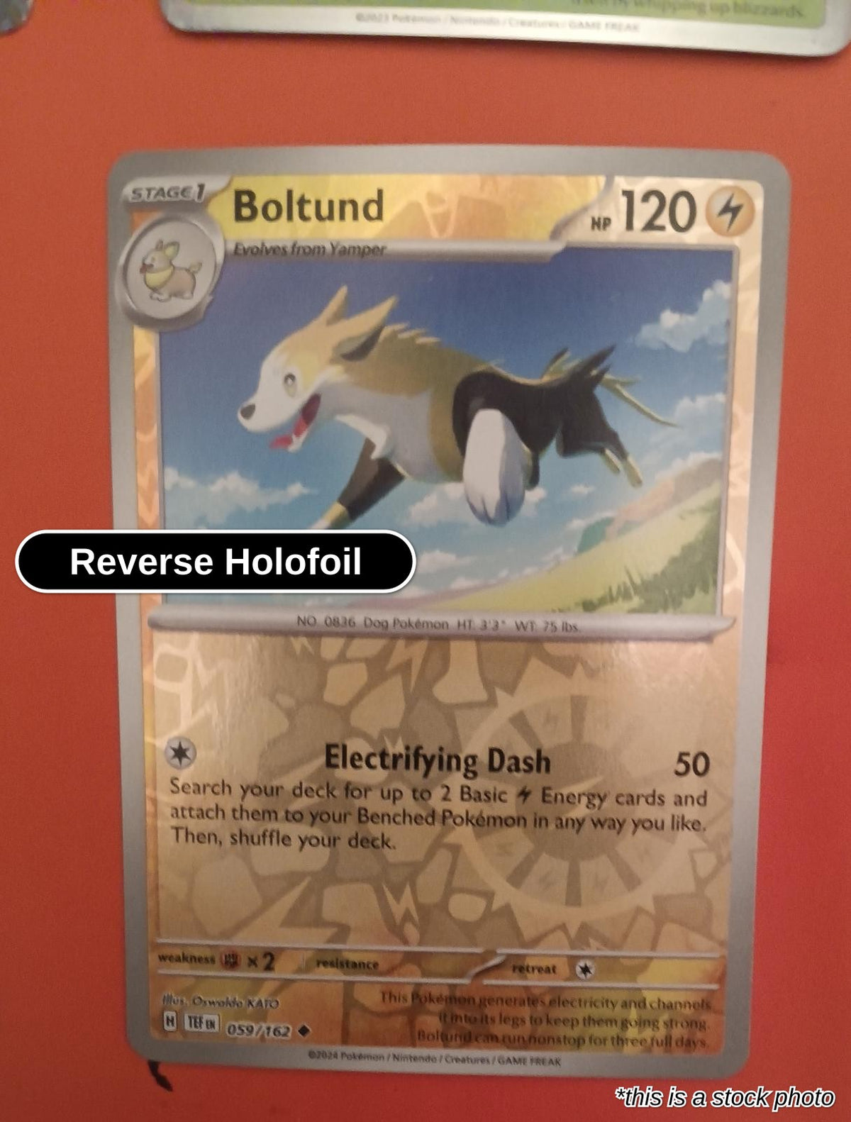 Boltund