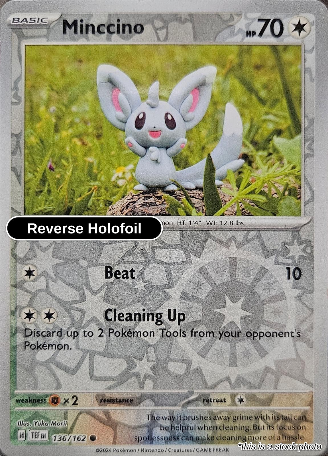 Minccino - 136/162