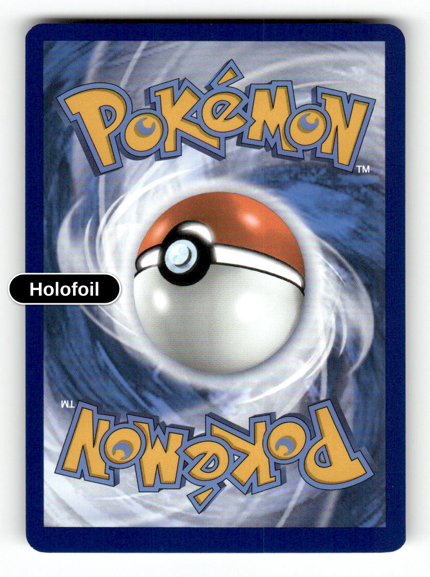 Zapdos (Back)