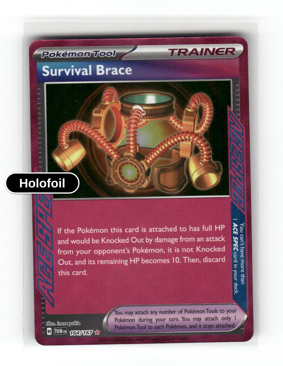Survival Brace