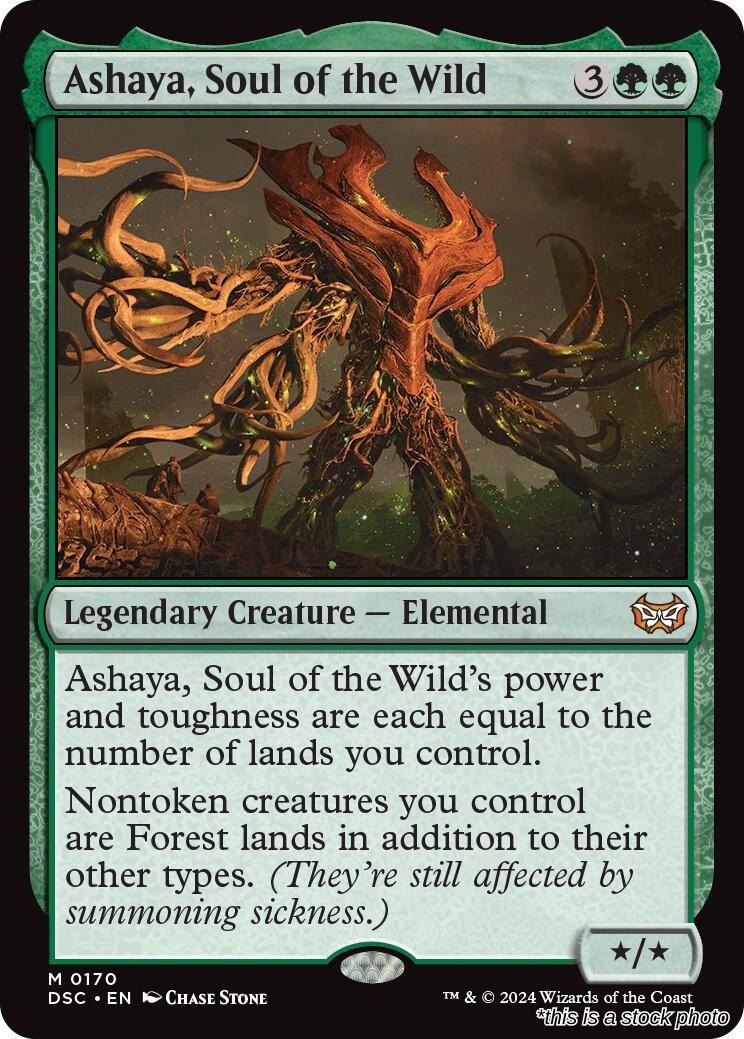 Ashaya, Soul of the Wild