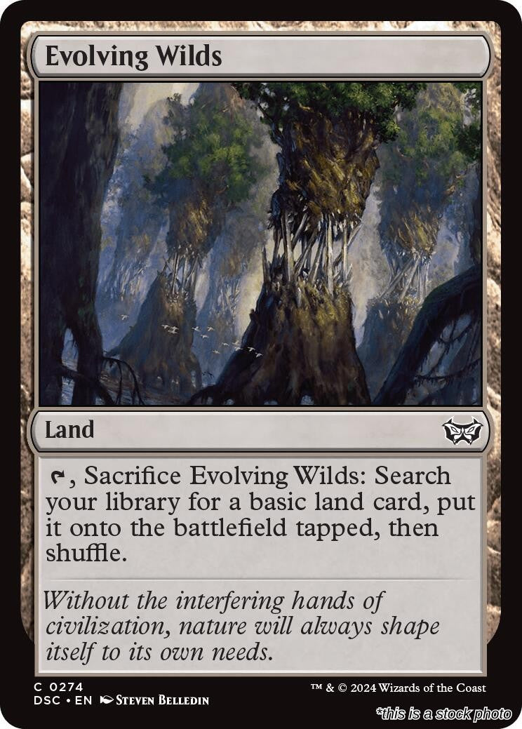 Evolving Wilds