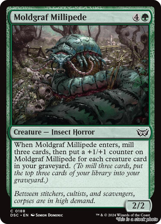 Moldgraf Millipede