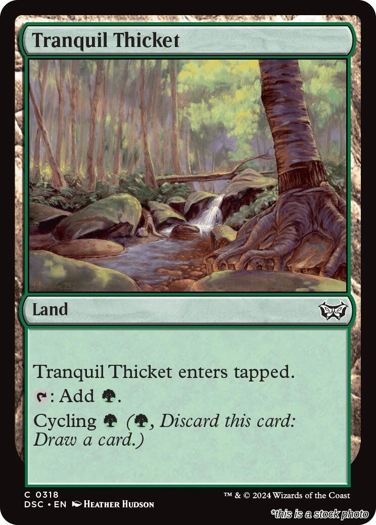 Tranquil Thicket