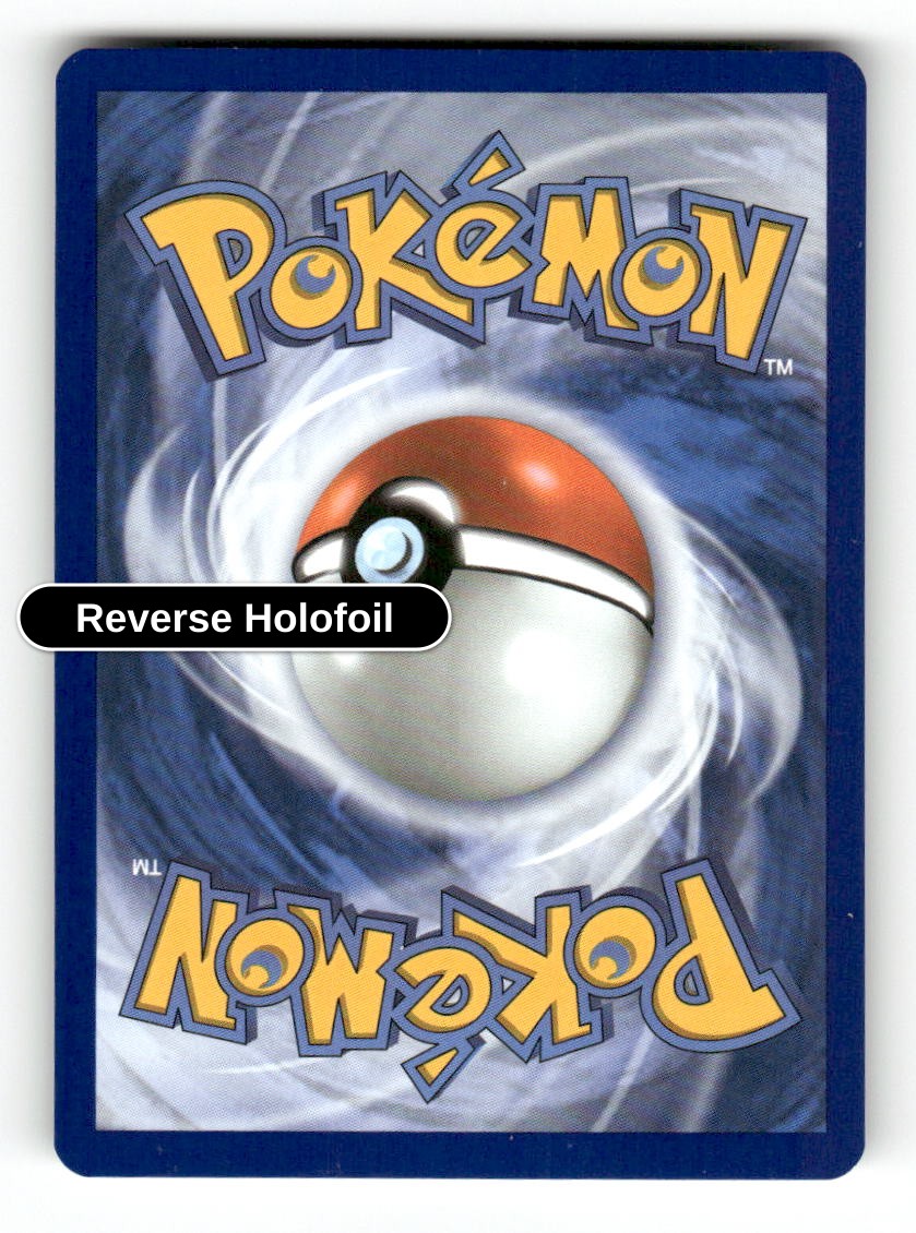 Riolu (Back)