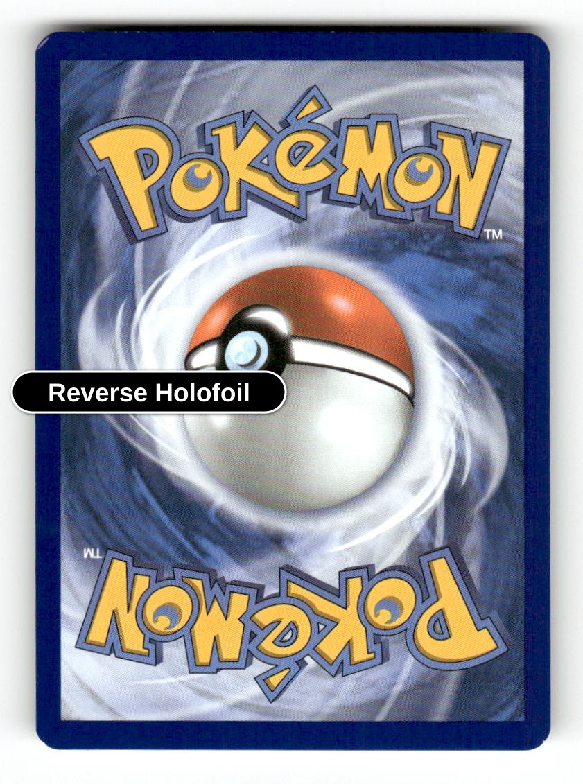 Eevee (Back)