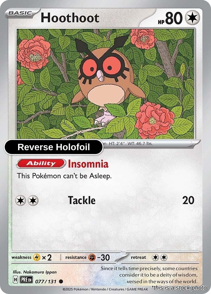 Hoothoot