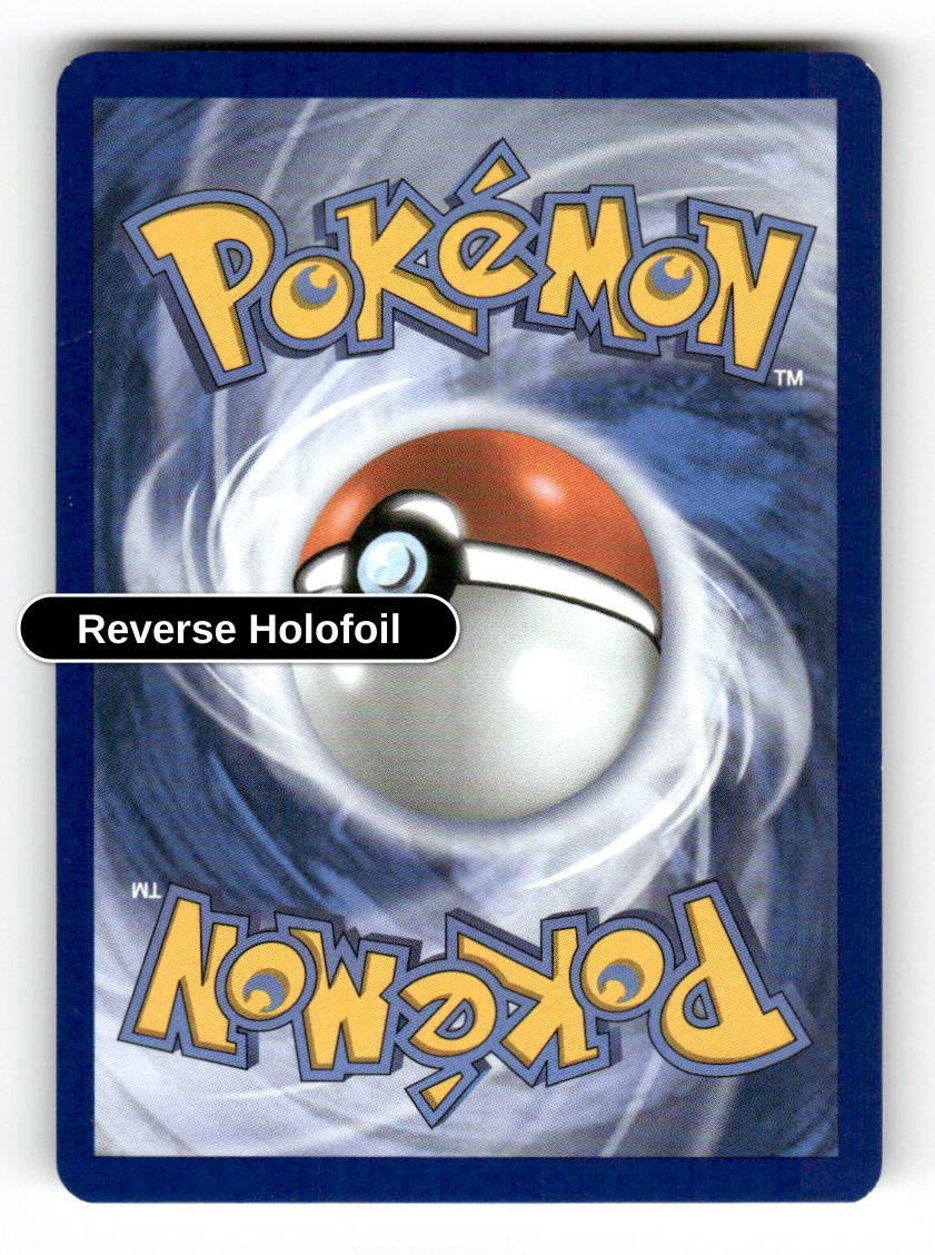 Noctowl (Back)