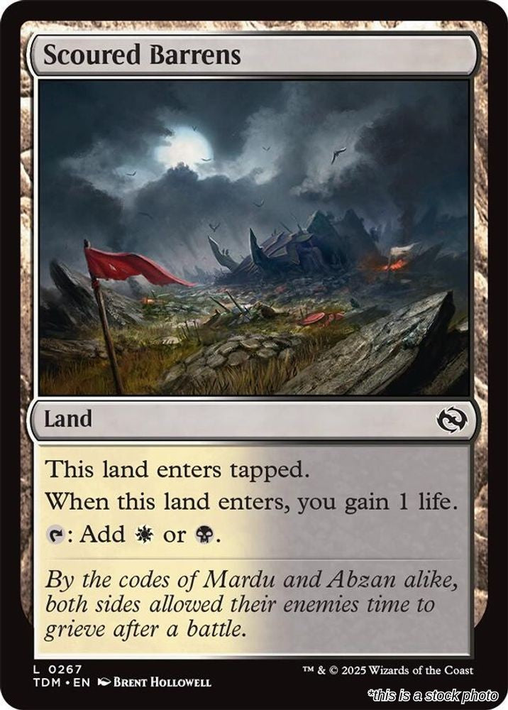 Scoured Barrens
