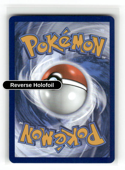 Team Rocket's Blipbug (Back)