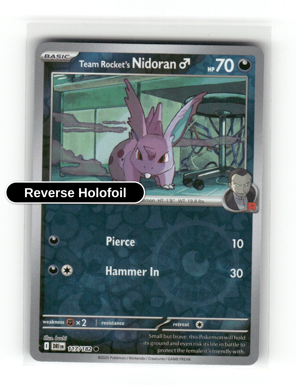 Team Rocket's Nidoran M