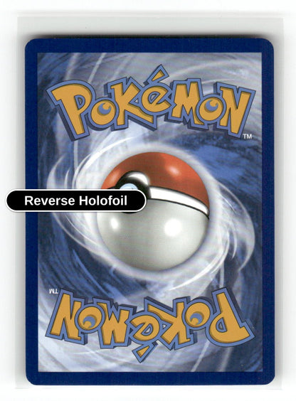 Team Rocket's Nidoran M (Back)