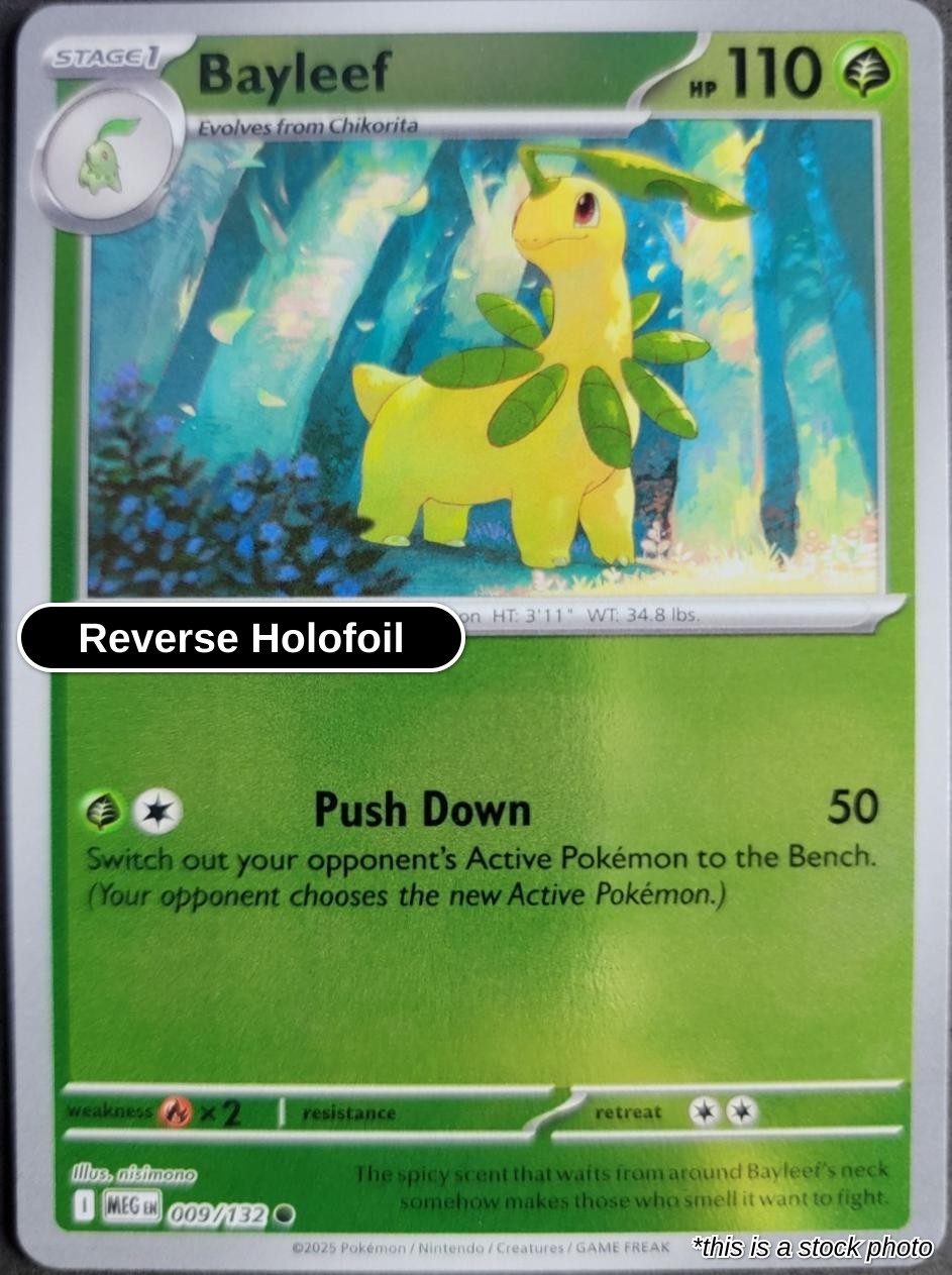 Bayleef