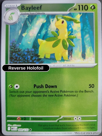Bayleef