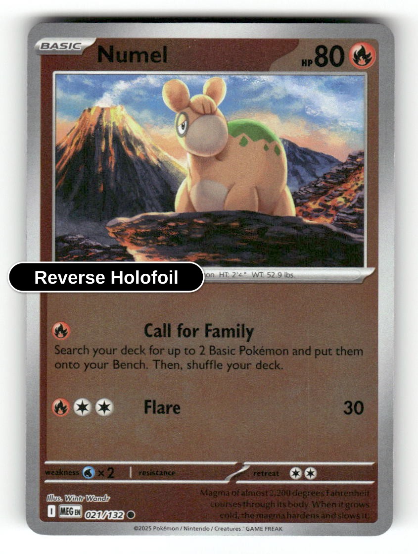 Numel