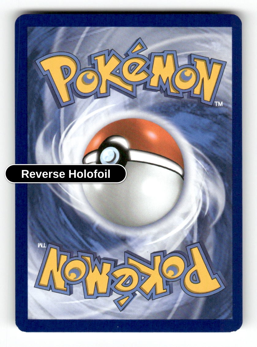 Switch (Back)