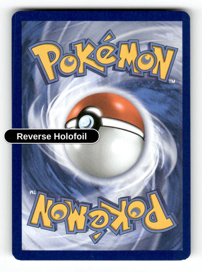 Switch (Back)